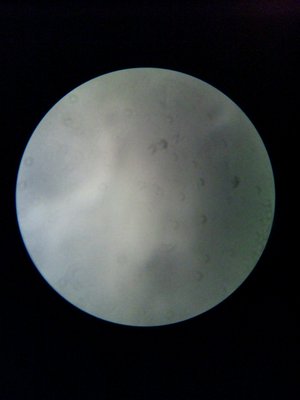 土星☆