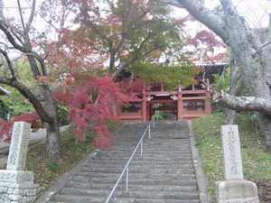 古民家再生：和歌山市　　その６　　紅葉